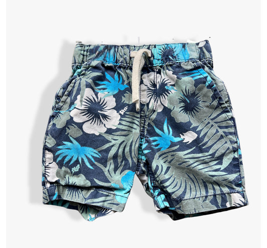 2T Boy Shorts Bundle